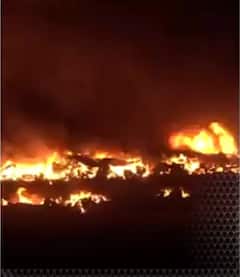 दिल्ली के अलीपुर में अभी-भी धधक रही आग | ABP NEWS SHORTS