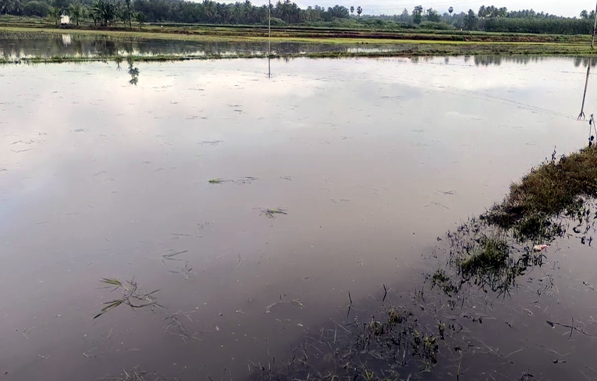 தேனி மாவட்டத்தில் வெளுத்து வாங்கிய கனமழையால்  பல்வேறு இடங்கள் நீரில் மூழ்கி சேதம்