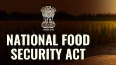 गलत तरीके से बनवाया है राशन कार्ड तो कितनी मिलेगी सजा? जान लें सरकार का यह नियम