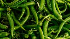 Green Chilli: जास्त प्रमाणात हिरवी मिरची खाल्याने होऊ शकते नुकसान; जाणून घ्या!