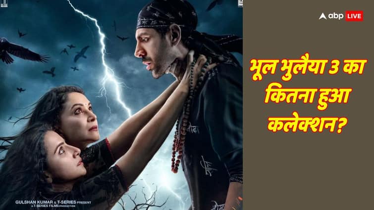 हाउसफुल चल रहे भूल भुलैया 3 के शोज, कार्तिक की फिल्म ने तीन दिन में ली 100 Cr क्लब में एंट्री