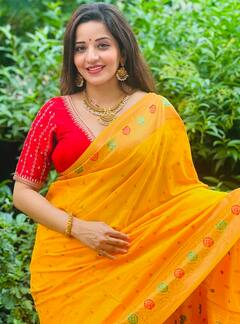 Chhath Puja 2024: छठ पूजा के लिए मोनालिसा के इन ट्रेडिशनल लुक से लें इंस्पिरेशन, हर कोई करेगा तारीफ