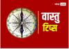 Vastu Tips: वास्तु अनुसार घर पर लगाएं ये पौधे, नकारात्मक ऊर्जा होगी दूर और पॉल्यूशन भी होगा कम