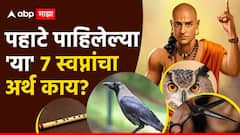 Chanakya Niti : पहाटे पाहिलेल्या 'या' 7 स्वप्नांचा अर्थ काय? चाणक्य सांगतात...