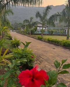 Prajakta Mali : विसाव्याचे क्षण! 'प्राजक्तकुंज'वर फुलवंतीने घालवला वेळ, प्राजक्ताने शेअर केले फोटो