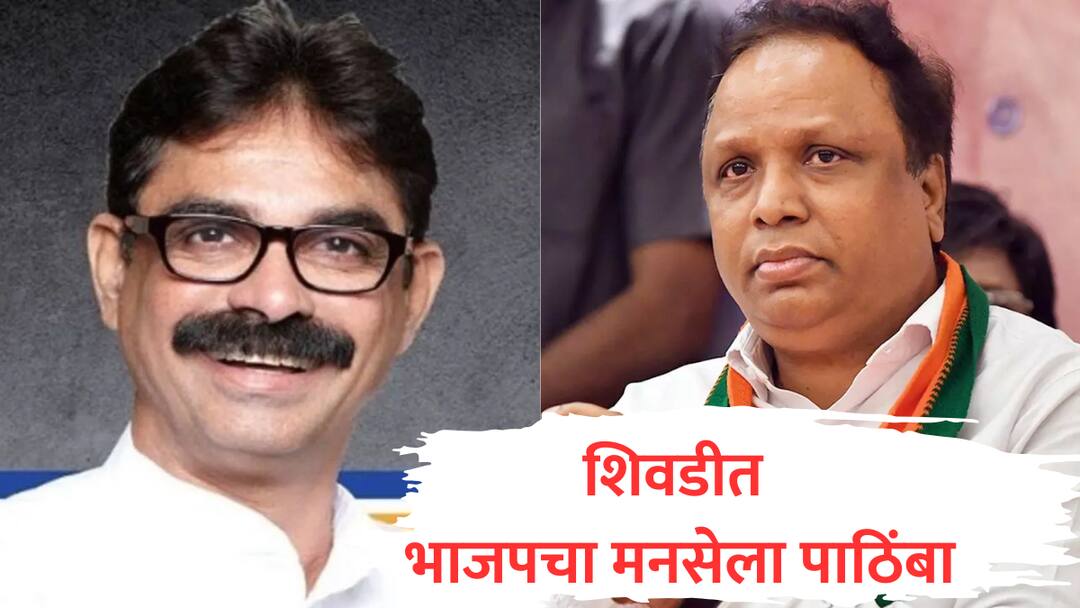 bjp support to Bala Nandgaonkar Sewri shivdi vidhan sabha election ashish shelar announced Shivadi maharashtra assembly election भाजपचं ठरलं! शिवडीत मनसेच्या बाळा नांदगावकरांना पाठिंबा, पूर्ण ताकदीने काम करण्याचं कार्यकर्त्यांना आवाहन