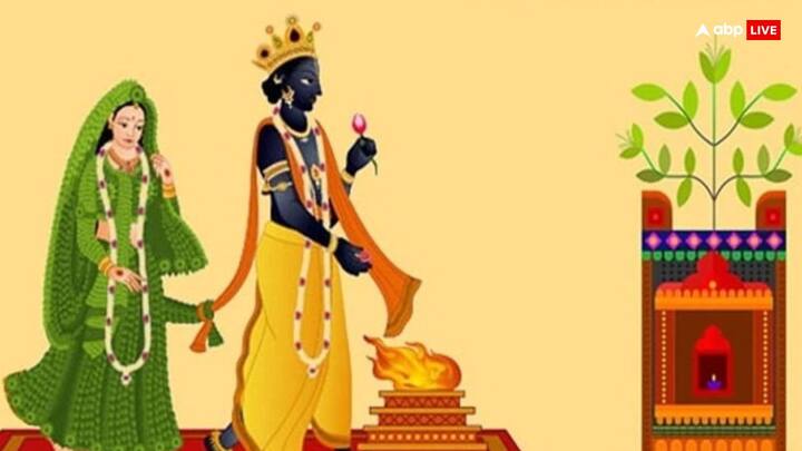 तुलसी विवाह के दिन सुबह स्नान करने के बाद साफ वस्त्र धारण करें और तुलसी माता की पूजा करें. पौधे में केसर मिश्रित दूध चढ़ाएं. लाल चुनरी ओढ़ाएं.