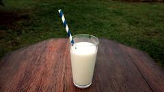 Top 5 Ways To Identify Adulterated Dairy Products