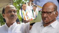 'अजितदादांच्या कामाबाबत मनात शंका नाही पण...', शरद पवारांनी सांगितलं नवीन पर्व अन् युगेंद्र पवारांच्या हातात का हवी सत्ता