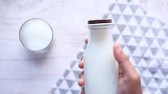 Top 5 Ways To Identify Adulterated Dairy Products