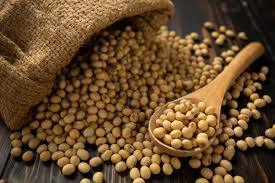 Soy: A good amount of calcium and protein is found in soy. Its daily consumption strengthens bones and many problems can be cured. Soy is very beneficial for bones.