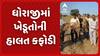 Rajkot Farmer | ધોરાજીમાં ખેડૂતોની હાલત કફોડી, મગફળીના પાથરા ફેરવવા મજૂર ન મળતા હાલાકી
