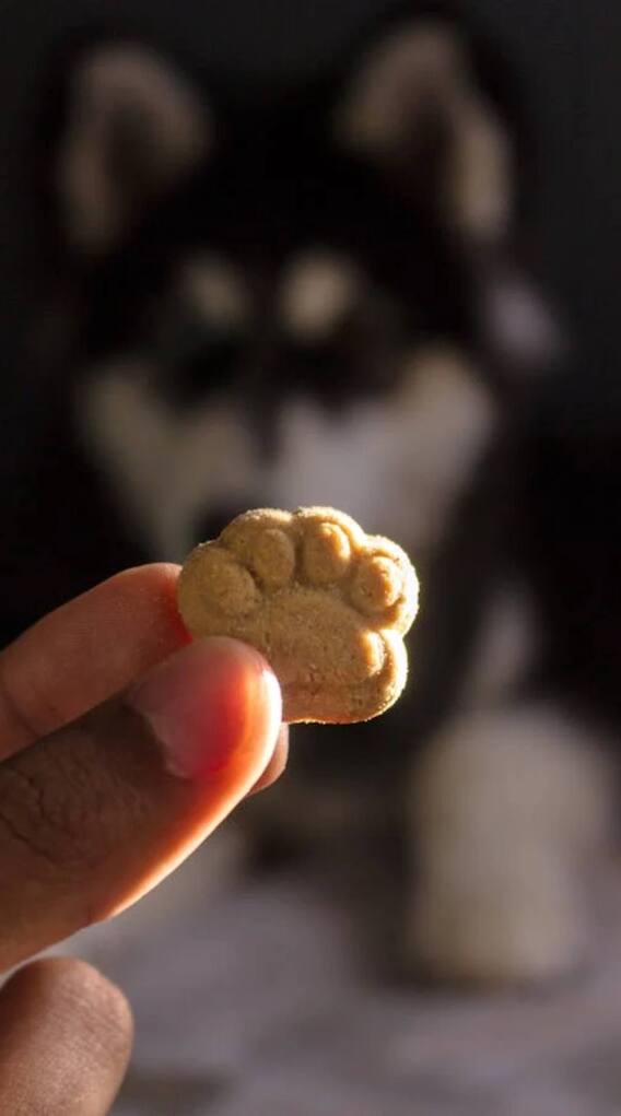 कैसे एक बिस्किट से हुआ कश्मीर में बड़ा एनकाउंटर?