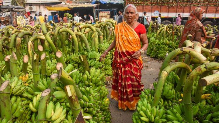 The festival of Chhath is celebrated in the north Indian states of Uttar Pradesh, Jharkhand, Bihar, Madhya Pradesh, and West Bengal. Image: PTI