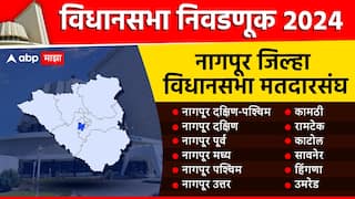 Nagpur Vidhan Sabha Election Results 2024 : नागपूर जिल्ह्यातील 12 विधानसभा मतदारसंघात कुणाचं वर्चस्व? विजयी उमेदवारांची यादी पाहा एका क्लिकवर