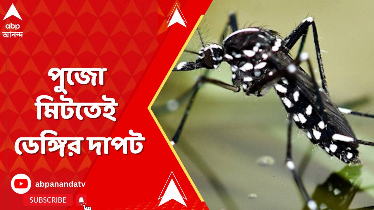 ABP News ABP News