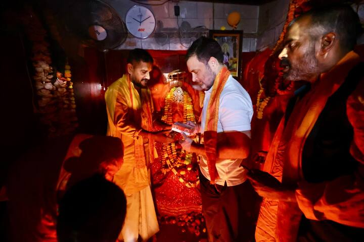 मंदिर में दर्शन के बाद राहुल गांधी बचत भवन पहुंचे जहां दिशा की बैठक होनी है. इस बैठक में अदिति सिंह समेत कई नेता मौजूद रहेंगे.