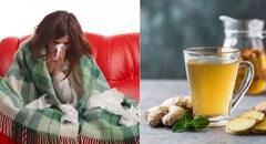 Winter Care : ઠંડીમાં શરદી અને ઉધરસથી બચવા માટે કરો આ ઘરગથ્થુ ઉપાય, થશે ફાયદો