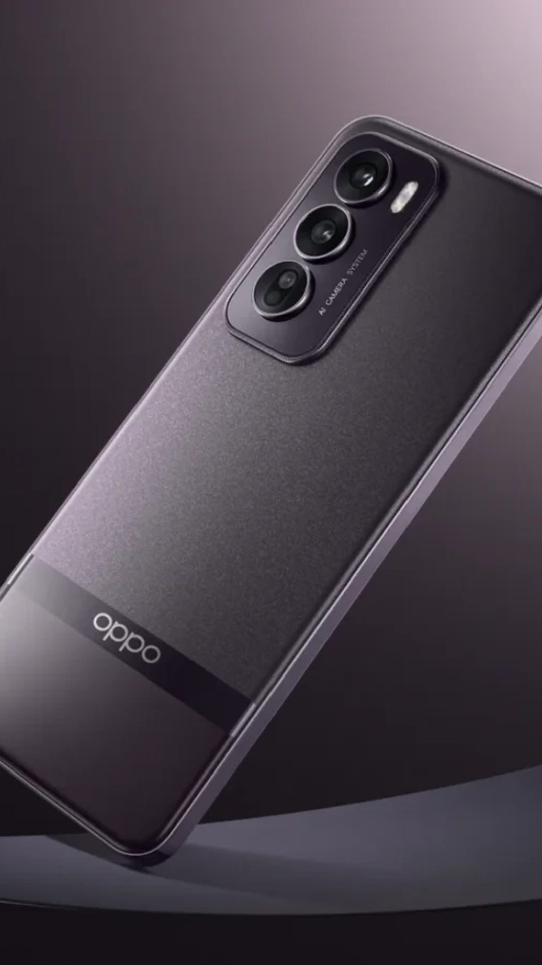 टिप्सीटर डिजिटल चैट स्टेमशन (DCS) के मुताबिक, Oppo Reno 13 को चीन में 25 नवंबर को लॉन्च किया जा सकता है.