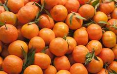 શિયાળાની ઠંડીમાં સંતરાનું સેવન તમને રાખશે એકદમ ફીટ, જાણો ફાયદા