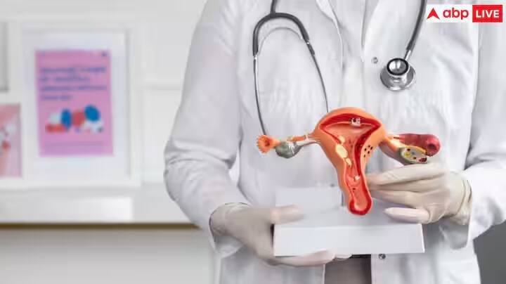 PCOS ને નિયંત્રિત કરવા માટે સૌથી મહત્વની વસ્તુ વિટામિન C છે. વિટામિન સી એક આવશ્યક પોષક તત્વ છે. વધુમાં, તેના એન્ટીઑકિસડન્ટ ગુણધર્મો પીસીઓએસમાં ક્રોનિક સોજાને ઘટાડવામાં અને પીસીઓએસ ધરાવતી સ્ત્રીઓને વિટામિન સીથી સમૃદ્ધ ફળો ખાવા જોઈએ.