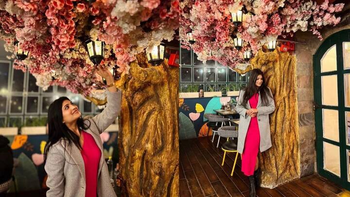 IAS प्रियंका गोयलचा पर्यायी विषय सार्वजनिक प्रशासन होता, ज्यामध्ये तिने 292 गुण मिळवले. एका मुलाखतीदरम्यान IAS प्रियांकाने सांगितले होते की, UPSC ची तयारी करताना तिला मोठ्या आव्हानांना सामोरे जावे लागले, तिला कधी यश मिळेल की नाही याची खात्री नव्हती.