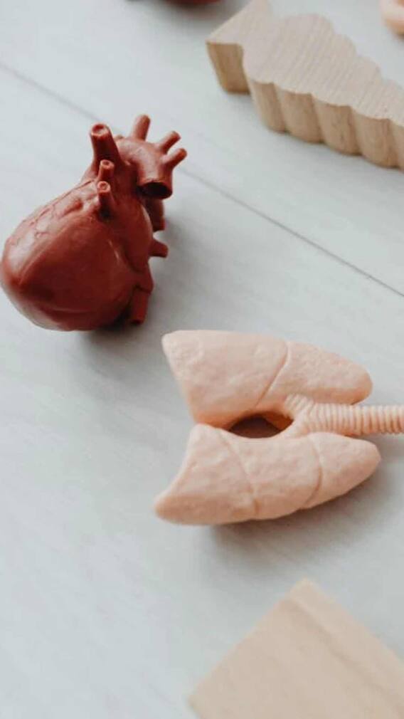 நுரையீரல் பாதிக்கப்பட்டு இருப்பதை உணர்த்தும் அறிகுறிகள்