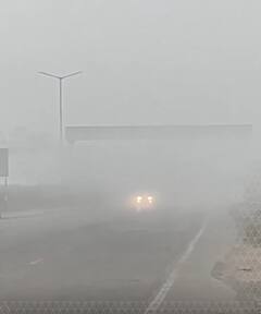 अंबाला में धुंध की परत छायी दिखी | ABP News Shorts