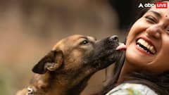 General Knowledge: કૂતરાઓ કેમ તેમના માલિકોને ચાટે છે, શું છે તેની પાછળનું વિજ્ઞાન?