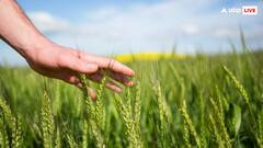 भारत के इस राज्य में फसलों में नहीं किया जाता कीटनाशकों का प्रयोग! जान लीजिए नाम