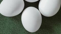 Eggs: ফ্রিজে কীভাবে ডিম রাখেন? কোন উপায়ে রাখলে নষ্ট হবে না?