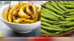 ਸਿਰਕੇ ਵਾਲੀ ਹਰੀ ਮਿਰਚ ਖਾਣ ਦੇ ਗਜ਼ਬ ਫਾਇਦੇ, ਸ਼ੂਗਰ ਤੋਂ ਲੈ ਕੇ ਮੋਟਾਪੇ ਦੇ ਰੋਗੀਆਂ ਲਈ ਰਾਮਬਾਣ