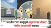 Health: घरात राहूनही तुम्ही सुरक्षित नाही? घरातील 'या' वस्तूंमुळे प्रदूषणाचा धोका? गंभीर आजारांची शक्यता, जाणून घ्या