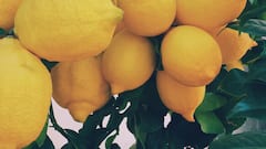 Lemon Benefits: बदलत्या ऋतूत लिंबूचे सेवन करावे की नाही ? जाणून घेऊया!