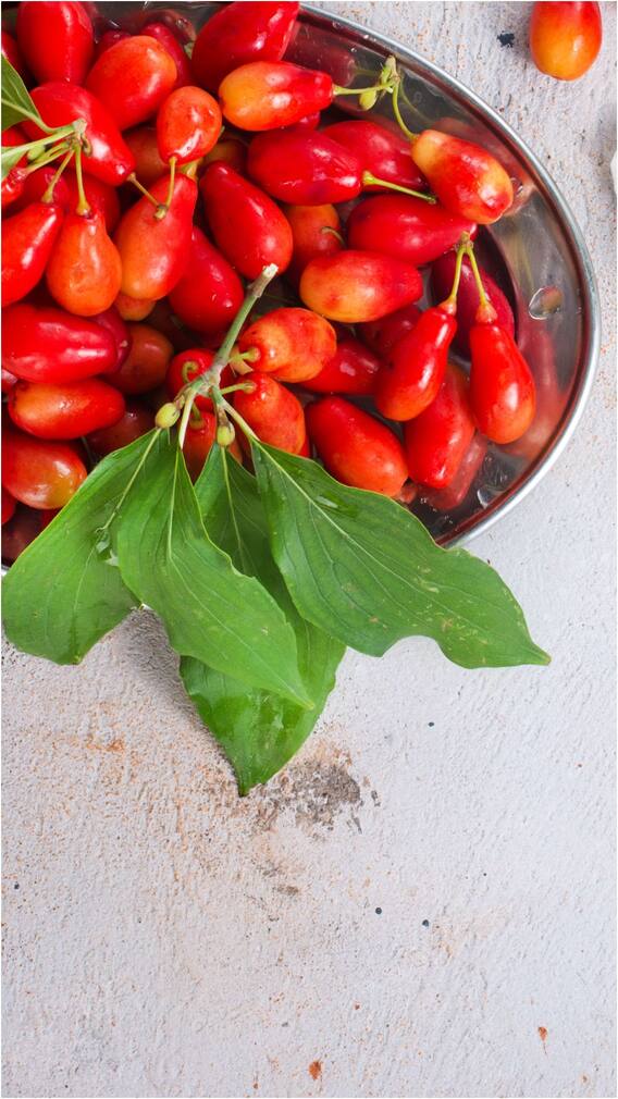 గోజి బెర్రీ పండ్లతో ఆరోగ్యానికి ఎన్ని లాభాలో