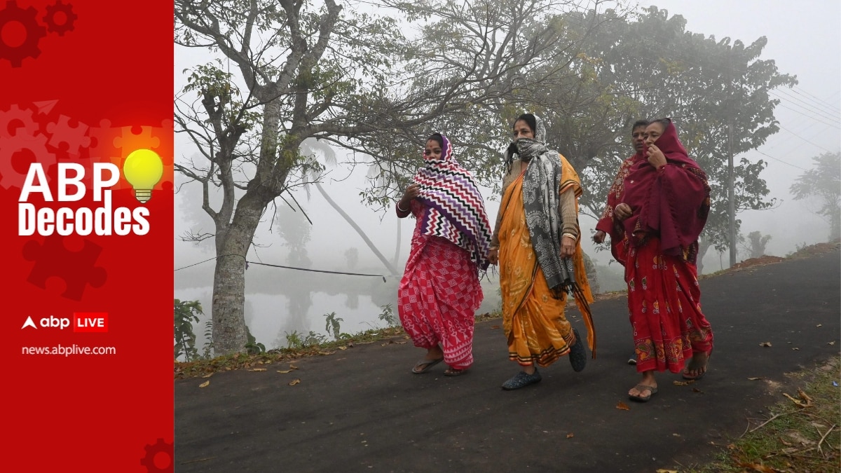 What Is Petticoat Cancer? Health Risk For Women Who Wear Saree As Doctors Report Treating 2 Patients