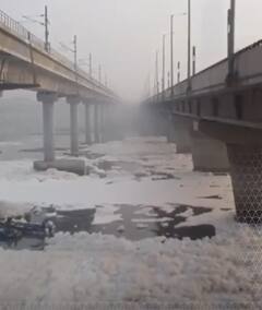 दिल्ली में यमुना नदी के तट पर जहरीली झाग की परत | ABP News Shorts