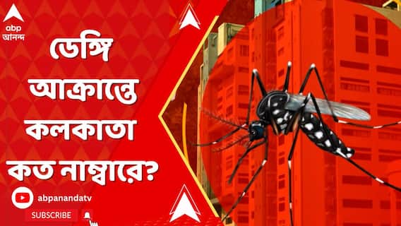 Dengue News: পুজো কাটতেই জেলায় জেলায় ডেঙ্গির দাপট। ডেঙ্গি আক্রান্তে কলকাতা কত নাম্বারে?