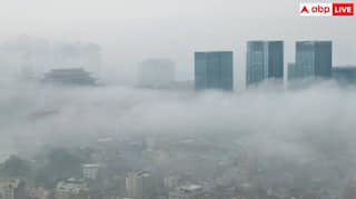 आपके आजू-बाजू भी फटक नहीं पाएगा पॉल्यूशन, बस इन टिप्स को कर लीजिए फॉलो