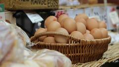 Eggs: ফ্রিজে কীভাবে ডিম রাখেন? কোন উপায়ে রাখলে নষ্ট হবে না?