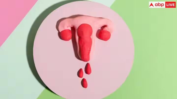 કેલ્શિયમ આપણા હાડકાંને મજબૂત બનાવે છે. PCOS થી પીડિત મહિલાઓ ઘણીવાર તેમના શરીરમાં કેલ્શિયમની ઉણપથી પીડાય છે. તેથી તમારે વિટામિન ડી ખાવું જોઈએ.