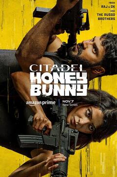 Citadel Honey Bunny Star Cast Fees: वरुण ने वसूली सबसे मोटी रकम, जानें सामंथा से लेकर बाकी स्टार्स ने कितनी ली फीस
