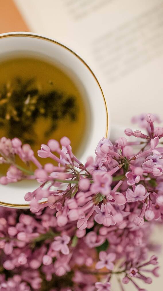 9 Herbal Tea That Will Keep You Warm And Healthy This Winter