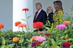 Donald Trump Win : ट्रम्प यांच्या विजयानंतर मोदी भावुक, फोटो शेअर करत दिला मित्राला खास संदेश