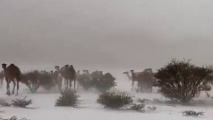 দেশের বহু মানুষই এমন অভূতপূর্ব দৃশ্য সোশ্যাল মিডিয়ায় তুলে ধরেছেন। পরিস্থিতি দেখে হতভম্ব সকলেই। প্রাকৃতিক সৌন্দর্য দেখে মুগ্ধ হলেও, মরুভূমিতে তুষারপাতের ঘটনায় উদ্বেগও প্রকাশ করেছেন অনেকে।