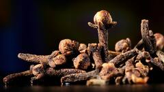 Benefits Of Cloves: सकाळी रिकाम्या पोटी लवंगा चावल्याने होतात अनेक फायदे जाणून घ्या!