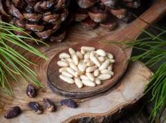 ਪੋਸ਼ਕ ਤੱਤਾਂ ਦਾ ਪਾਵਰਹਾਊਸ ਆਹ ਨਟਸ, ਦੁੱਧ 'ਚ ਪਾ ਕੇ ਖਾਣ ਨਾਲ ਦੂਰ ਹੋ ਜਾਂਦੀਆਂ ਕਈ ਬਿਮਾਰੀਆਂ