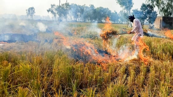 Stubble Burning: ਮੱਧ ਪ੍ਰਦੇਸ਼ ਵਿੱਚ ਪੰਜਾਬ ਨਾਲੋਂ ਦੁੱਗਣੀ ਸੜੀ ਪਰਾਲੀ, ਫਿਰ ਹਰ ਵਾਰ ਦੀ ਤਰ੍ਹਾਂ ਪੰਜਾਬੀ ਕਿਸਾਨ ਹੀ ਕਿਉਂ ਹੋ ਰਹੇ ਨੇ ਬਦਨਾਮ ?