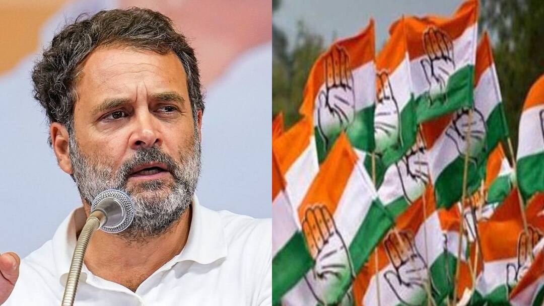 Maharashtra Assembly Elections 2024 : बंडखोरांना काँग्रेसचा दणका, जिचकारांच्या मुलाला थेट बाहेरचा रस्ता, 'या' नेत्यांचंही सहा वर्षांसाठी निलंबन Maharashtra Assembly Elections 2024 Congress suspend Rajendra Mulak Yajnavalkya Jichkar Aaba Bagul Kamal vyavhare Jayashree Patil for 6 years Marathi News Maharashtra Assembly Elections 2024 : बंडखोरांना काँग्रेसचा दणका, जिचकारांच्या मुलाला थेट बाहेरचा रस्ता, 'या' नेत्यांचंही सहा वर्षांसाठी निलंबन