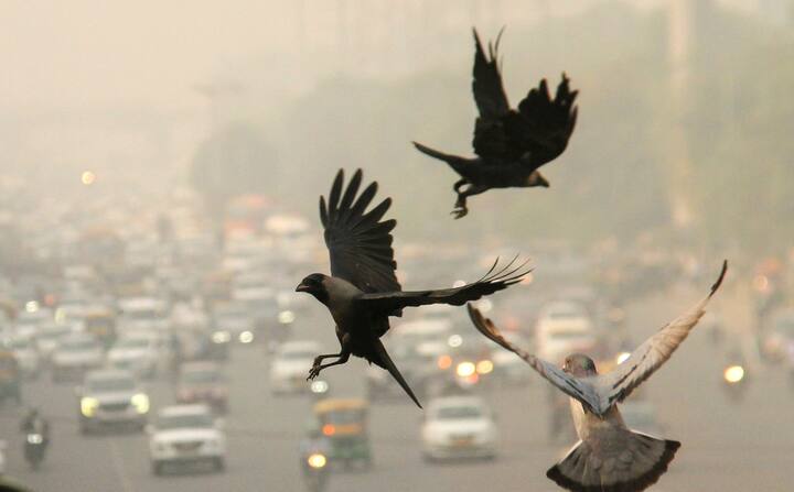 बुधवार को दिल्ली की वायु गुणवत्ता देश में तीसरी सबसे खराब स्थिति में रही.